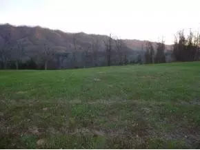 162 Clinch Valley Road Eidson Tn 37731, Eidson, TN 37731 photo 18