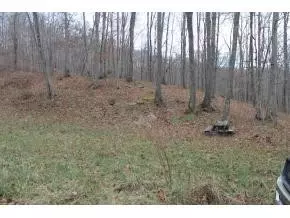 13828 Fall Hill Road Abingdon Va 24210, Abingdon, VA 24210 photo 11