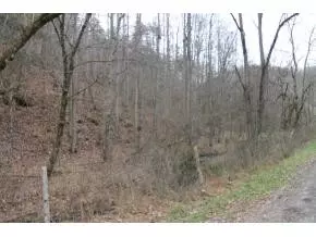 13828 Fall Hill Road Abingdon Va 24210, Abingdon, VA 24210 photo 3