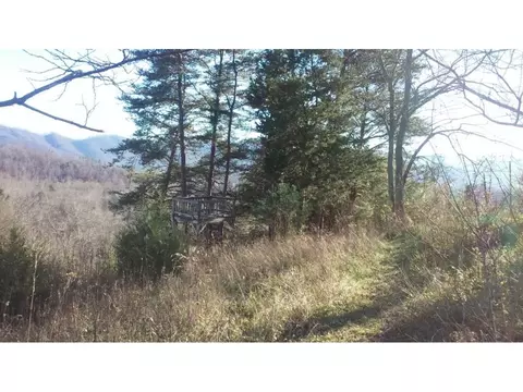 434 Mount Wesley Road Telford Tn 37690, Telford, TN 37690 photo 23