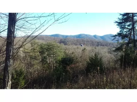 434 Mount Wesley Road Telford Tn 37690, Telford, TN 37690 photo 24