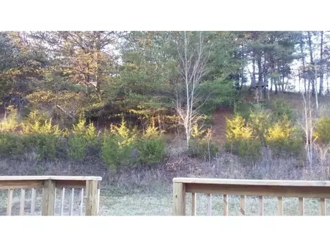 434 Mount Wesley Road Telford Tn 37690, Telford, TN 37690 photo 17