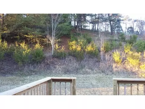 434 Mount Wesley Road Telford Tn 37690, Telford, TN 37690 photo 15