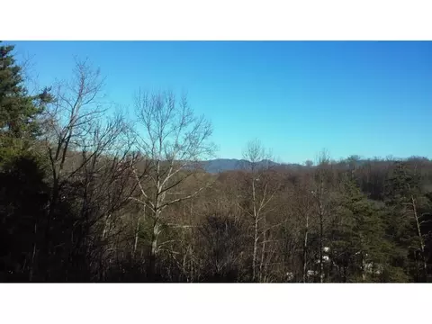 434 Mount Wesley Road Telford Tn 37690, Telford, TN 37690 photo 25