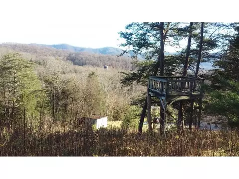 434 Mount Wesley Road Telford Tn 37690, Telford, TN 37690 photo 21