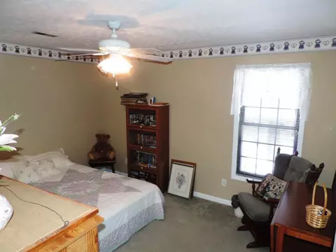 6700 Mcdonald Road Mohawk Tn 37810, Mohawk, TN 37810 photo 14