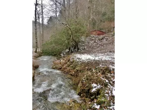 581 Tumbling Creek Road Erwin Tn 37650, Erwin, TN 37650 photo 4