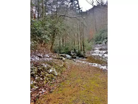 581 Tumbling Creek Road Erwin Tn 37650, Erwin, TN 37650 photo 5
