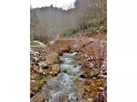 581 Tumbling Creek Road Erwin Tn 37650, Erwin, TN 37650 photo 2