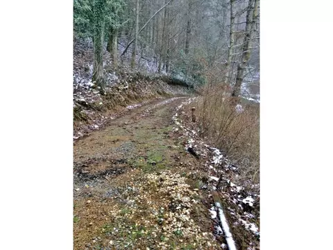 581 Tumbling Creek Road Erwin Tn 37650, Erwin, TN 37650 photo 18