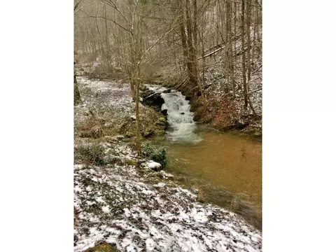 534 Tumbling Creek Road Erwin Tn 37650, Erwin, TN 37650 photo 34
