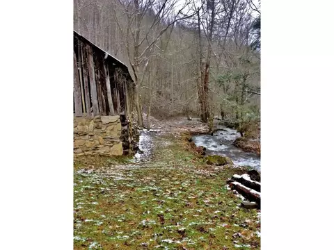 534 Tumbling Creek Road Erwin Tn 37650, Erwin, TN 37650 photo 28