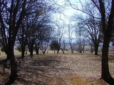 140 Barwick Road Limestone Tn 37681, Limestone, TN 37681 photo 3
