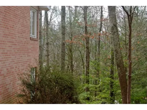 630 Ash Street Erwin Tn 37650, Erwin, TN 37650 photo 21