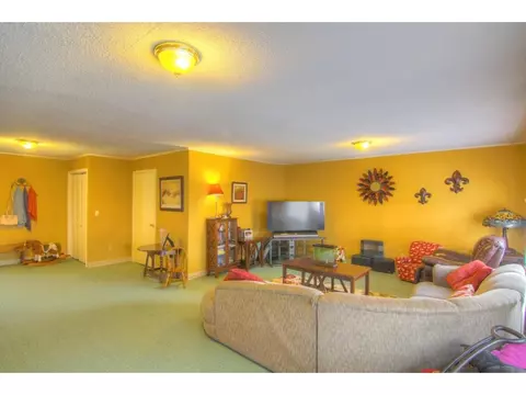 706 Watauga Johnson City Tn 37601, Johnson City, TN 37601 photo 8