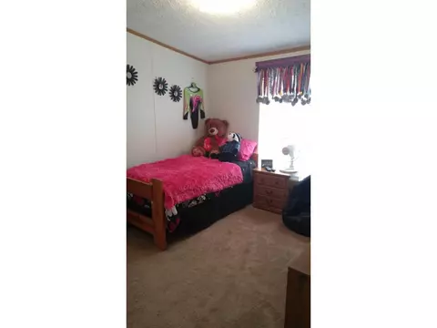 347 Alleghanney Fall Branch Tn 37656, Fall Branch, TN 37656 photo 10
