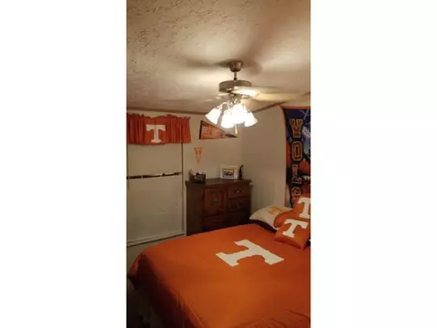 347 Alleghanney Fall Branch Tn 37656, Fall Branch, TN 37656 photo 11