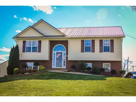 1008 Mountain Meadows Drive Limestone Tn 37681, Limestone, TN 37681 photo 2