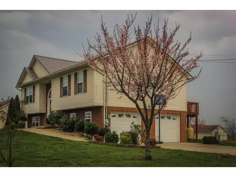 1008 Mountain Meadows Drive Limestone Tn 37681, Limestone, TN 37681 photo 19