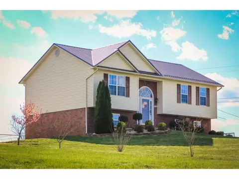 1008 Mountain Meadows Drive Limestone Tn 37681, Limestone, TN 37681 photo 21