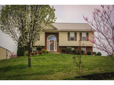 1008 Mountain Meadows Drive Limestone Tn 37681, Limestone, TN 37681 photo 18