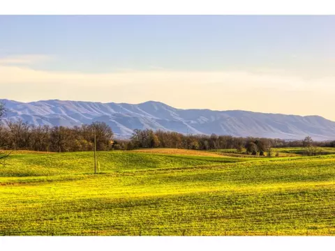 1008 Mountain Meadows Drive Limestone Tn 37681, Limestone, TN 37681 photo 22