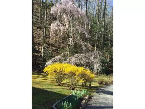 1842 Jonesborough Road Erwin Tn 37650, Erwin, TN 37650 photo 3
