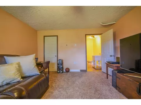 246 Springview Drive Gray Tn 37615, Gray, TN 37615 photo 29