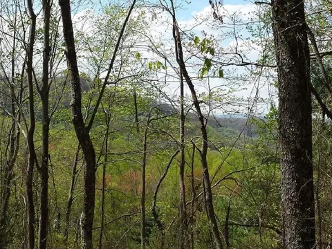 7055 Dale Branch Road Wise Va 24293, Wise, VA 24293 photo 8