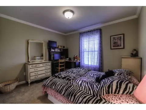 9182 Stillmeadows Drive Meadowview Va 24361, Meadowview, VA 24361 photo 14