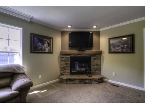 9182 Stillmeadows Drive Meadowview Va 24361, Meadowview, VA 24361 photo 9