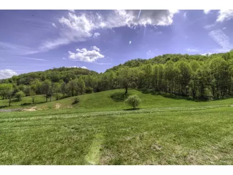 9182 Stillmeadows Drive Meadowview Va 24361, Meadowview, VA 24361 photo 5