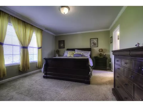 9182 Stillmeadows Drive Meadowview Va 24361, Meadowview, VA 24361 photo 12
