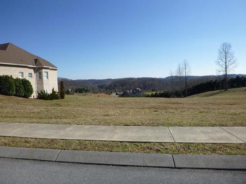 229 Old Island Trail Kingsport Tn 37664, Kingsport, TN 37664
