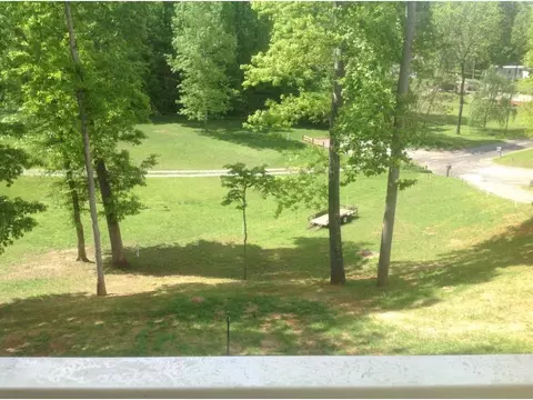 123 Destiny Lane Fall Branch Tn 37656, Fall Branch, TN 37656 photo 15