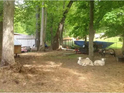 123 Destiny Lane Fall Branch Tn 37656, Fall Branch, TN 37656 photo 14