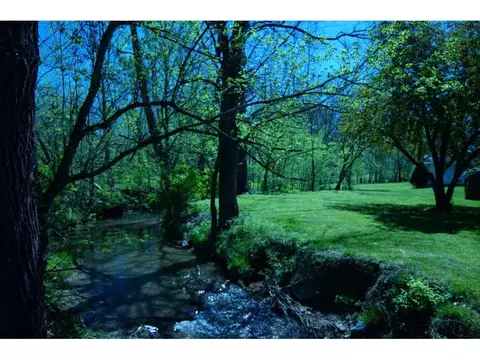 138 Old Mill Road Gray Tn 37615, Gray, TN 37615 photo 3