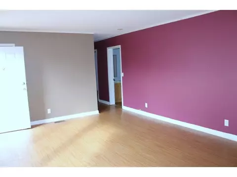 126 Whitlock Drive Fall Branch Tn 37656, Fall Branch, TN 37656 photo 5
