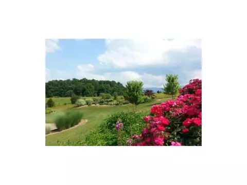 885 Reece Road Chuckey Tn 37641, Chuckey, TN 37641 photo 16