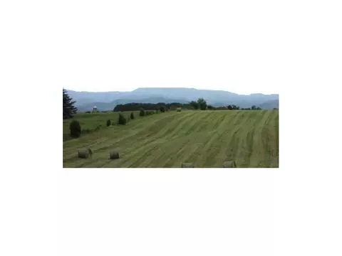 885 Reece Road Chuckey Tn 37641, Chuckey, TN 37641 photo 15