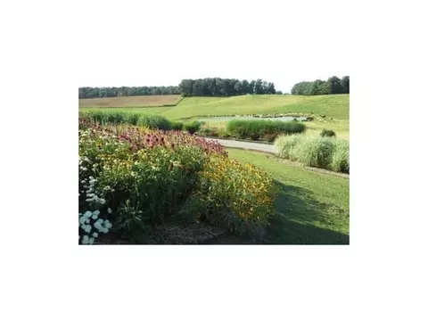 885 Reece Road Chuckey Tn 37641, Chuckey, TN 37641 photo 14