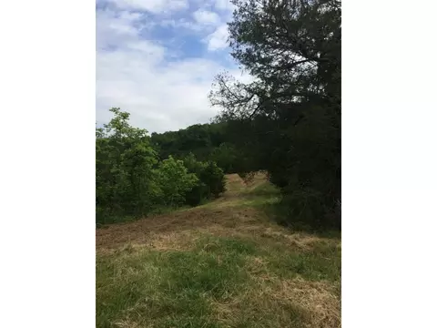 1070 Roaring Fork Road Greeneville Tn 37745, Greeneville, TN 37745 photo 24