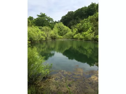 1070 Roaring Fork Road Greeneville Tn 37745, Greeneville, TN 37745 photo 25