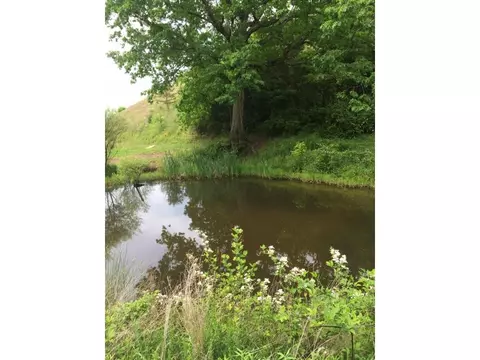 1070 Roaring Fork Road Greeneville Tn 37745, Greeneville, TN 37745 photo 26