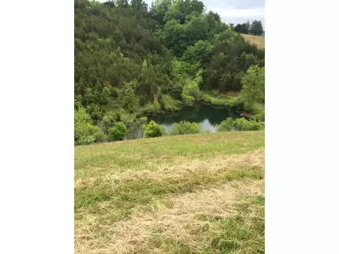 1070 Roaring Fork Road Greeneville Tn 37745, Greeneville, TN 37745 photo 15