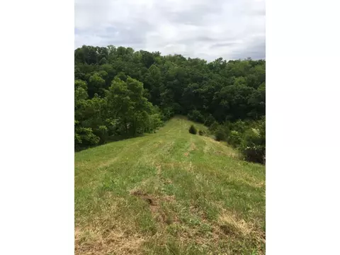 1070 Roaring Fork Road Greeneville Tn 37745, Greeneville, TN 37745 photo 12
