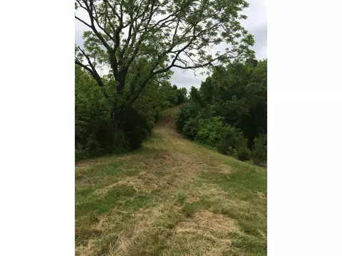 1070 Roaring Fork Road Greeneville Tn 37745, Greeneville, TN 37745 photo 23