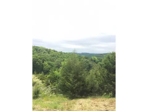1070 Roaring Fork Road Greeneville Tn 37745, Greeneville, TN 37745 photo 14
