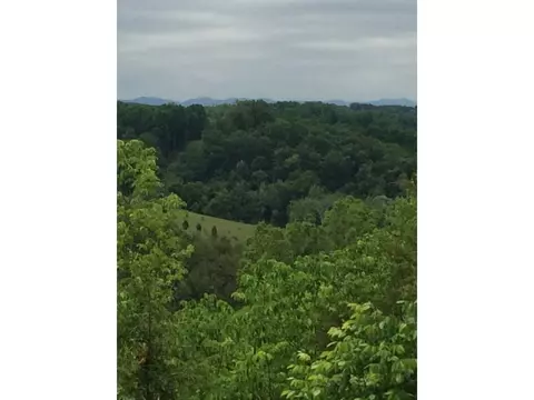 1070 Roaring Fork Road Greeneville Tn 37745, Greeneville, TN 37745 photo 11