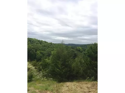 1070 Roaring Fork Road Greeneville Tn 37745, Greeneville, TN 37745 photo 13